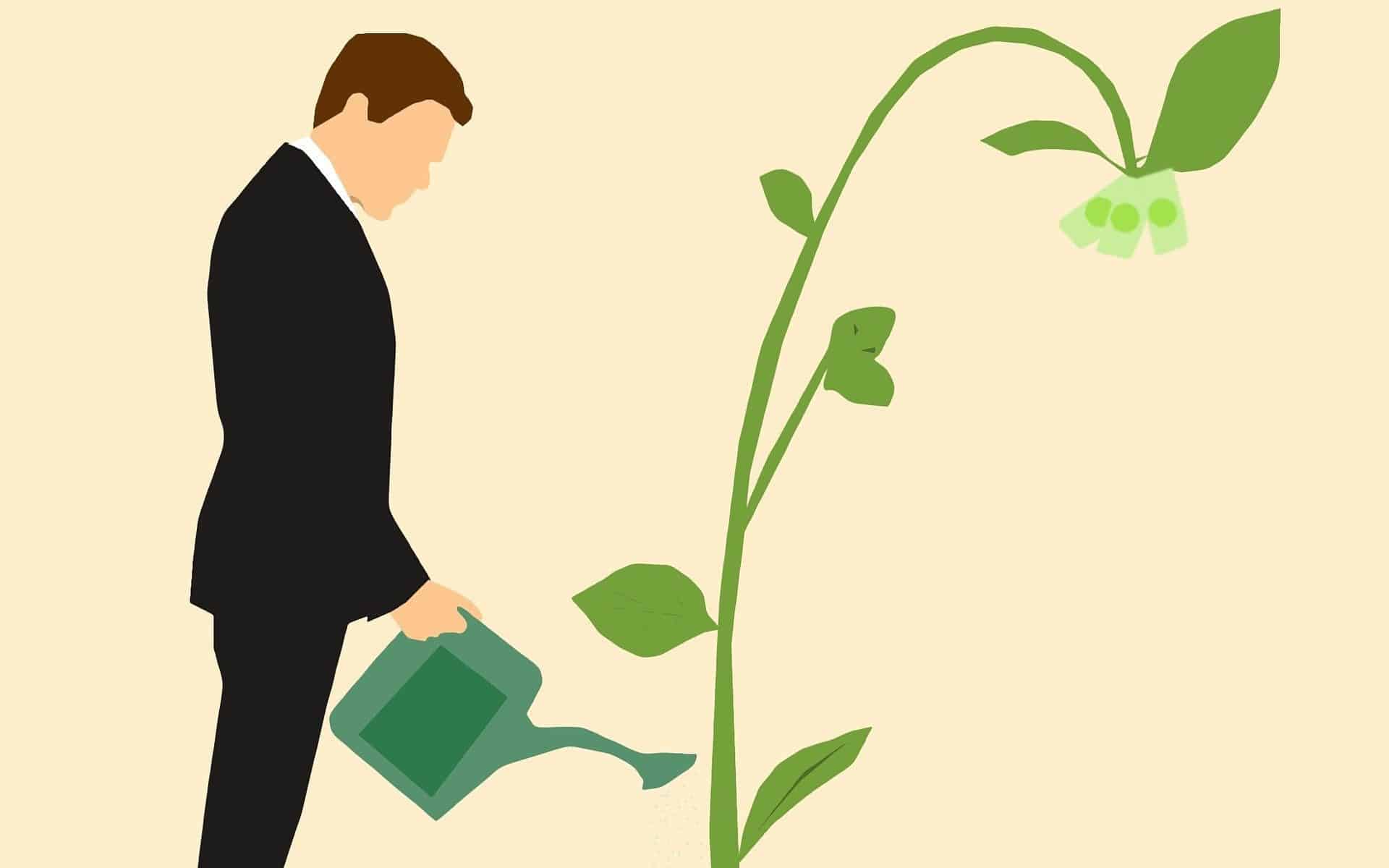 Man Watering Money Tree