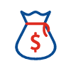 Save Money IE Icon