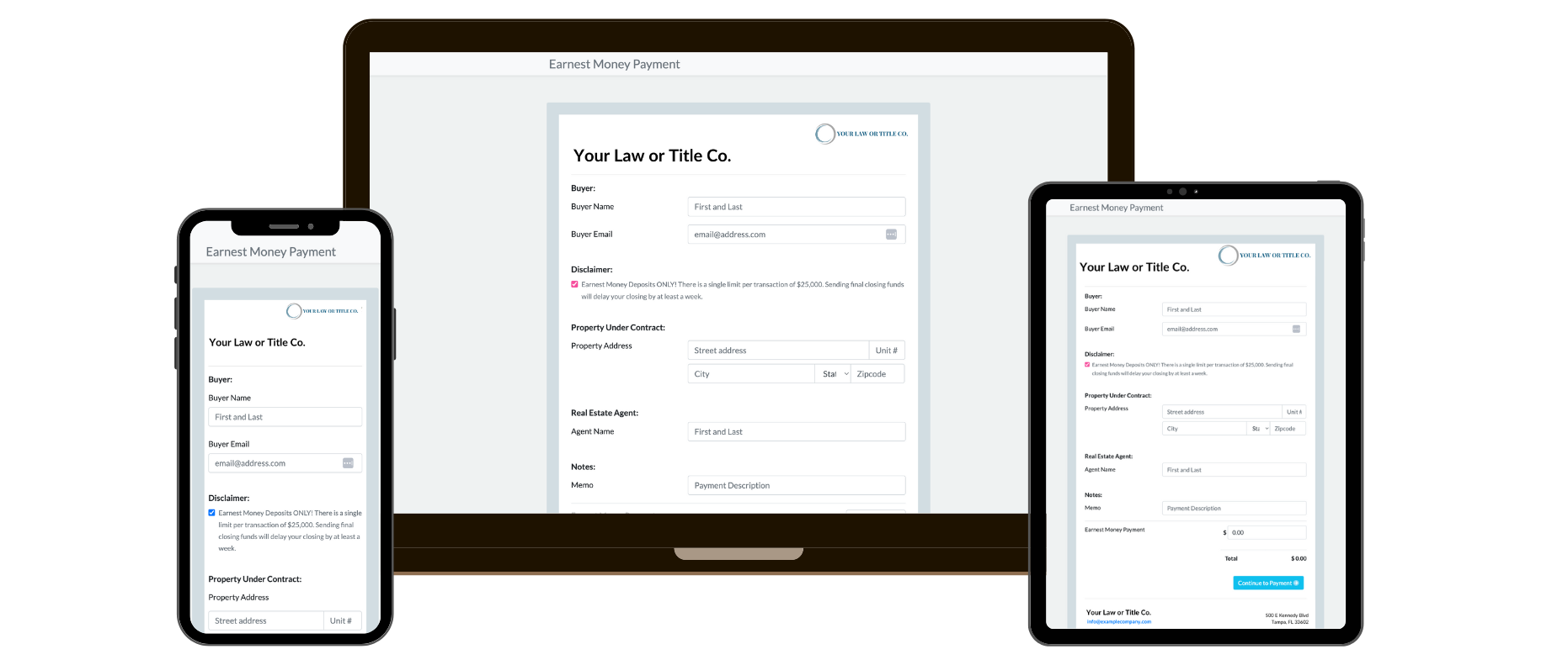 payment screenshot example
